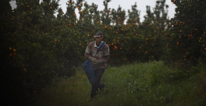 Organizaciones sociales denuncian las malas condiciones de trabajadores migrantes este verano en Huelva