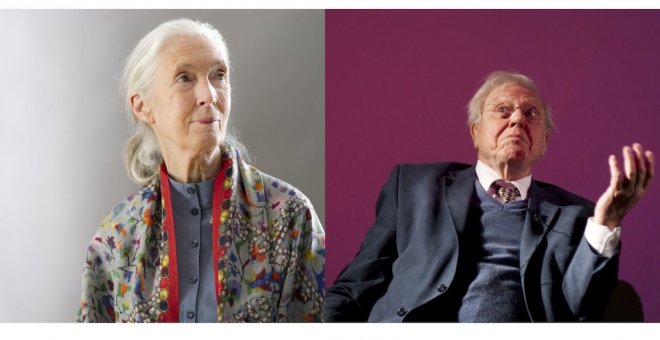 Jane Goodall y David Attenborough: dos sabios llaman a la esperanza