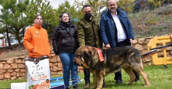 La Junta considera que la ley de Bienestar Animal invade competencias y rezuma desconfianza del medio rural