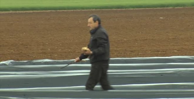 Un invierno seco y una primera inestable complican el camino del espárrago blanco este año