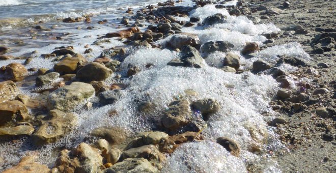 El Instituto Español de Oceanografía alerta del riesgo de un nuevo episodio de anoxia en el Mar Menor