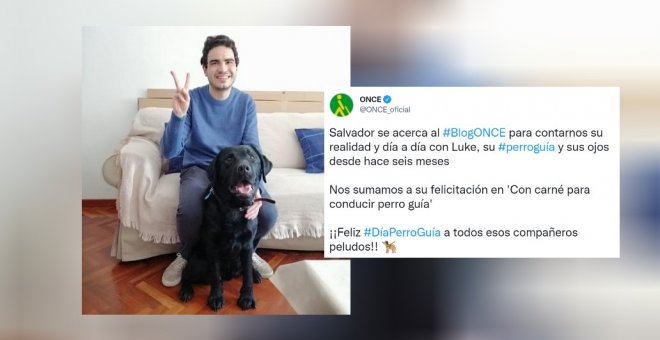 "De vivir en una continua carrera de obstáculos a un continuo eslalon": el relato de un joven tras sus primeros seis meses con un perro guía