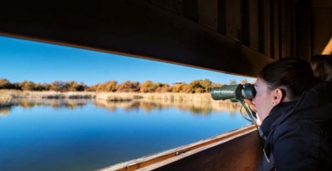 Prismáticos en mano para observar aves en el paraíso ornitológico de Castilla-La Mancha