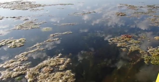 El Mar Menor se sigue muriendo y con él el turismo en la zona