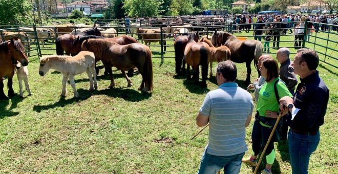 La feria ganadera reúne a más de un millar de vacas, caballos y cabras