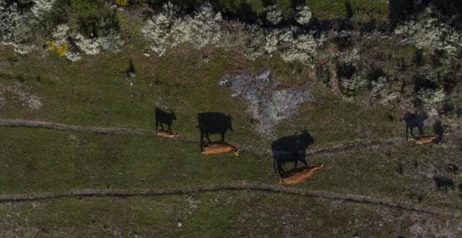 La semana empieza con calor, más acusado en las Canarias y en el Cantábrico