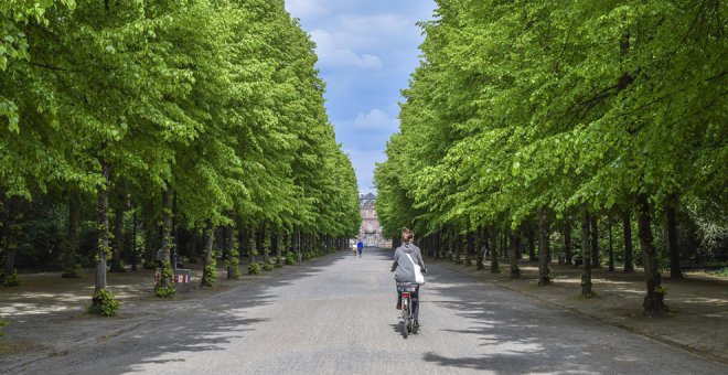 Multa de hasta 200 euros a los ciclistas por no señalizar una maniobra