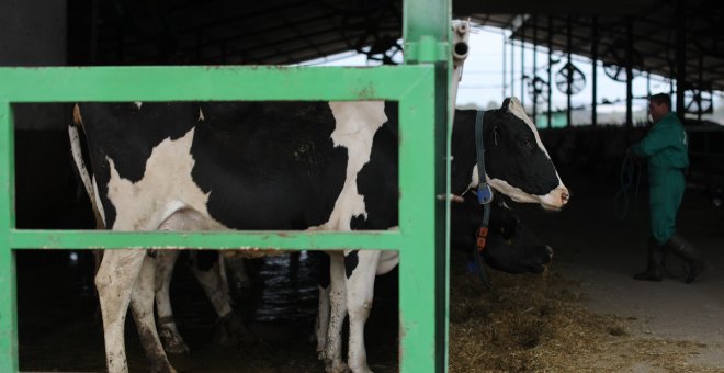 El daño ambiental del consumo alimentario de España es un 26% superior a la media europea