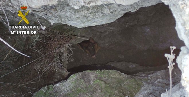 Salvan a Reina, una cachorra que cayó a seis metros de profundidad en unas trincheras de la Guerra Civil en Seseña