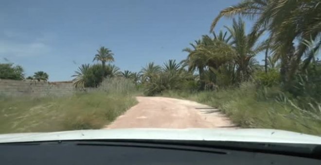 Una mujer da a luz y abandona al recién nacido en un descampado de Alicante