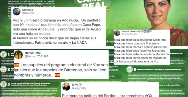 Las reacciones al 'programa electoral' de Vox en Andalucía: "Una oda al populismo y un insulto a la inteligencia"