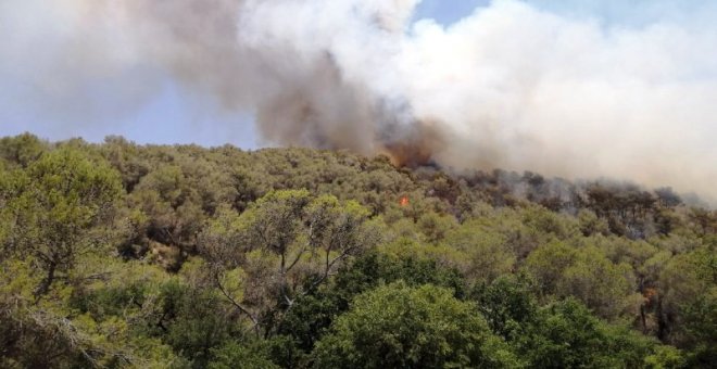 Desactivades a partir de mitjanit les restriccions per risc d'incendi