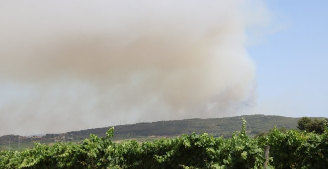 Els Bombers esperen poder tenir estabilitzats la majoria de focs aquest diumenge al matí