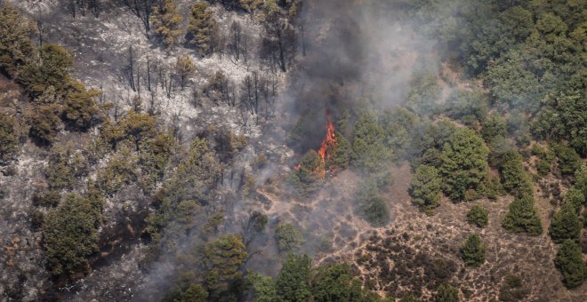 Els Bombers aconsegueixen estabilitzar l'incendi de Baldomar i superen la primera onada de focs de la temporada