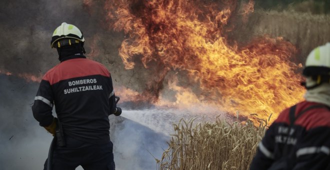 Este es el cóctel de fuego que agrava y propaga los incendios forestales