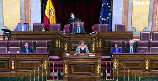 Los partidos soberanistas reivindican el uso de las lenguas cooficiales en el Congreso