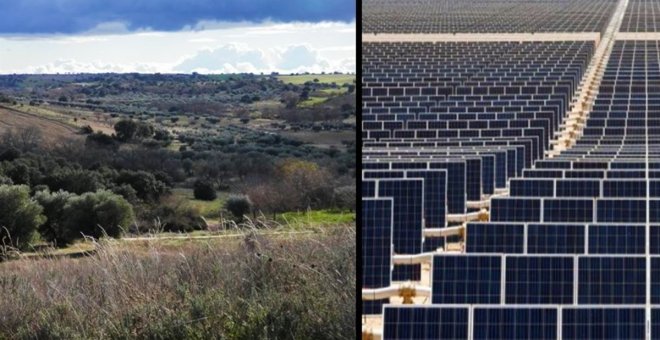 Bodegas con denominación de origen plantan cara a la 'catarata' de proyectos fotovoltaicos y piden protección para la zona