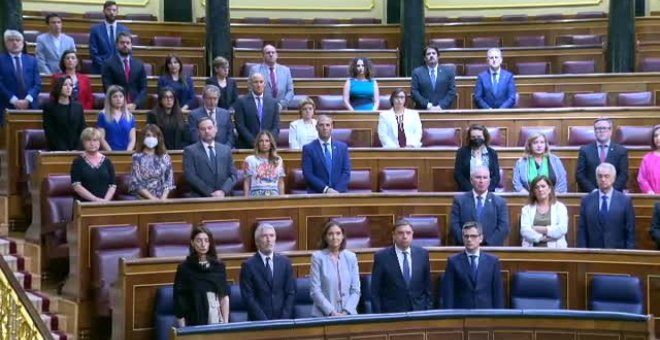 El Congreso de los Diputados homenajea a las víctimas del terrorismo sin PP ni Vox