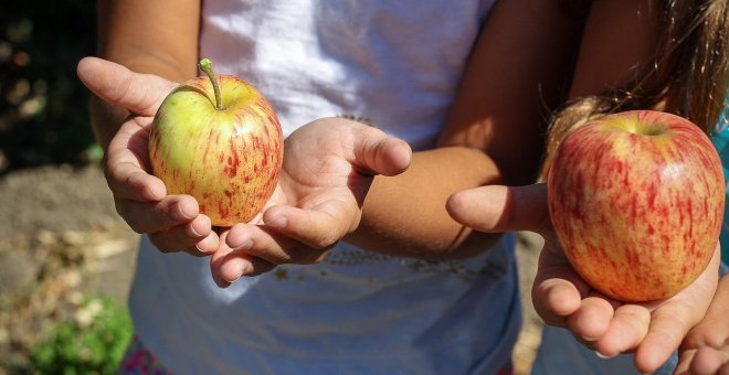 Los mejores campamentos de verano para educar en ecología