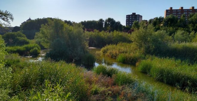 Los insuficientes desembalses desde la cabecera del Tajo, causa de los bajos caudales que requieren de una mejor gestión