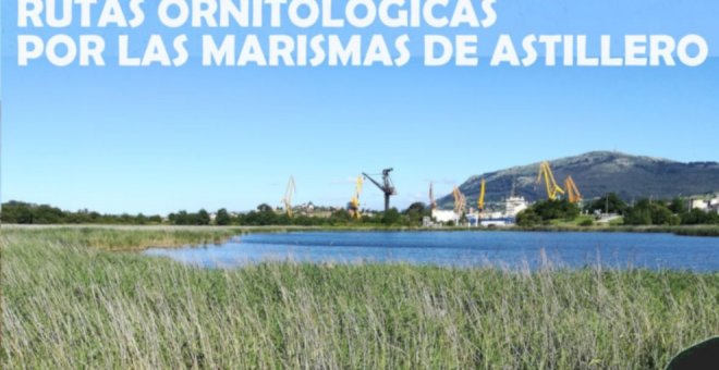 Rutas veraniegas para conocer las reservas ornitológicas en las marismas