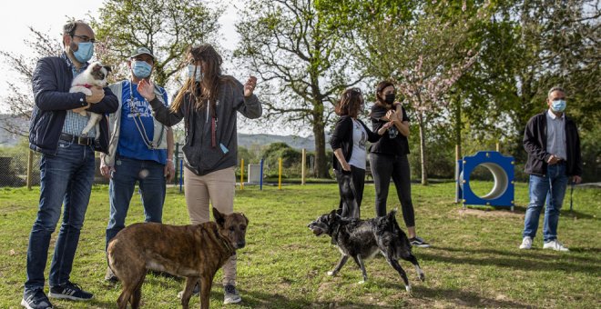 Publicada la resolución provisional de las subvenciones para protectoras de animales