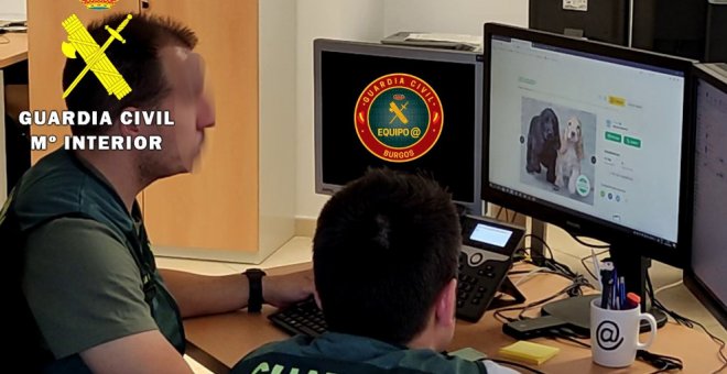 Detenido por vender online una mascota por 3.585 euros y no entregarla