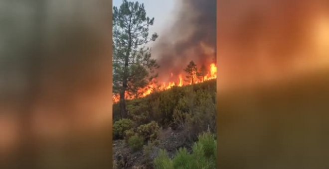 Las altas temperaturas complican el control del incendio de Las Hurdes