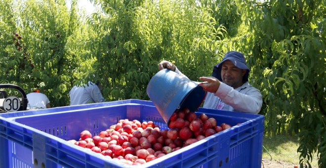 L’encariment de la fruita desplaça els hàbits de compra cap a productes menys saludables