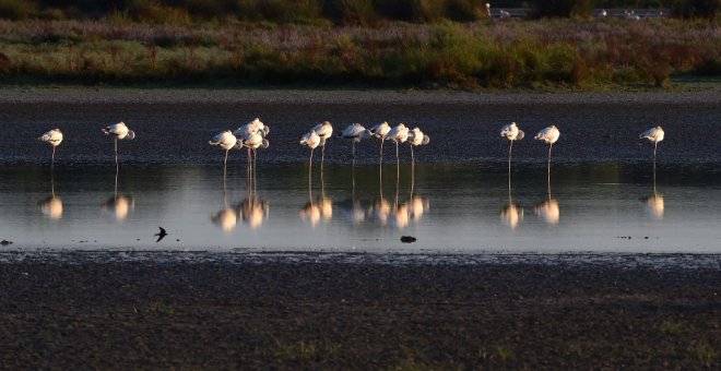 La UE expedienta de nuevo a España y amenaza con una multa por no proteger el humedal de Doñana