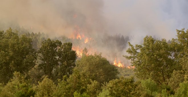 Movilización ciudadana para llevar agua a los bomberos que tratan de extinguir el grave fuego en Salamanca