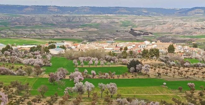 La lucha contra tres macrogranjas en la Alcarria conquense recurre al 'crowdfunding' para poder alegar