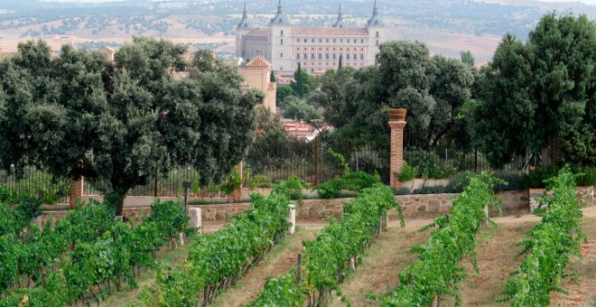 De vinos por Castilla-La Mancha, una ruta por las bodegas del mayor viñedo del mundo