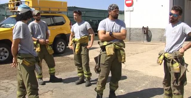 Miles de animales han muerto en los incendios que asolan España