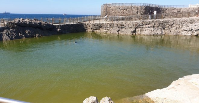 Acusan al Ayuntamiento de "mentir" y "ocultar" documentación durante año y medio sobre el minizoo de la Magdalena