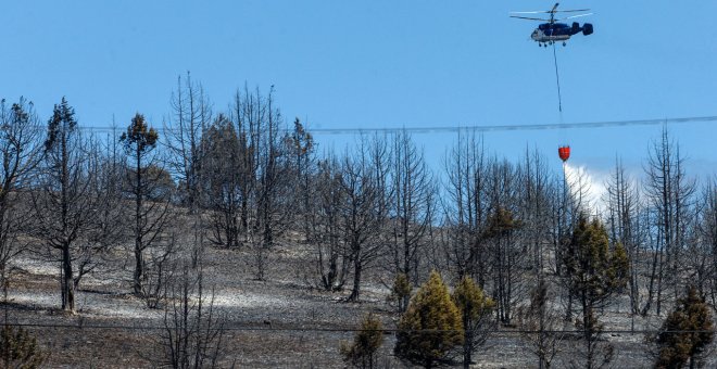 La Junta apunta a la mano del hombre como causa de los fuegos de Ávila, Burgos y Zamora