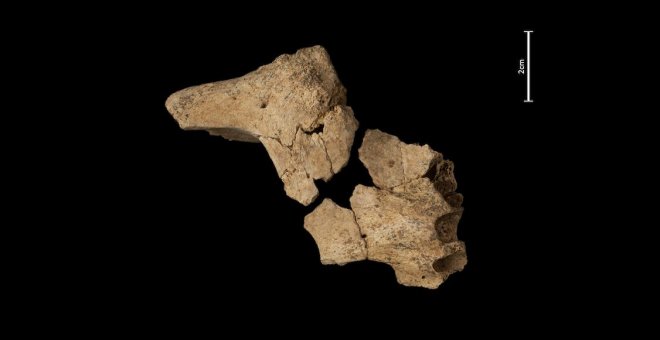 Atapuerca suma otro gran hallazgo: la cara del primer 'europeo'