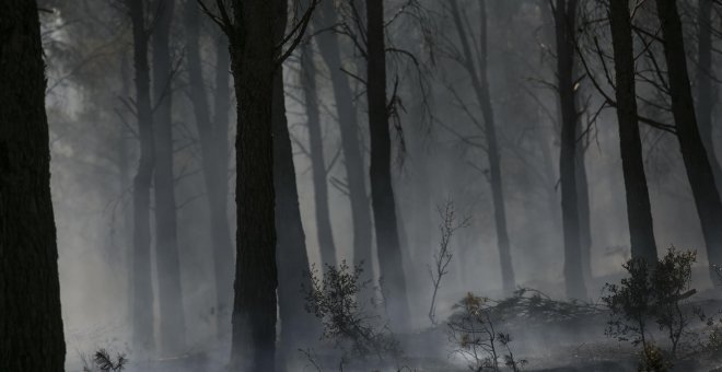 ¿Qué penas y multas recoge el Código Penal por provocar un incendio?