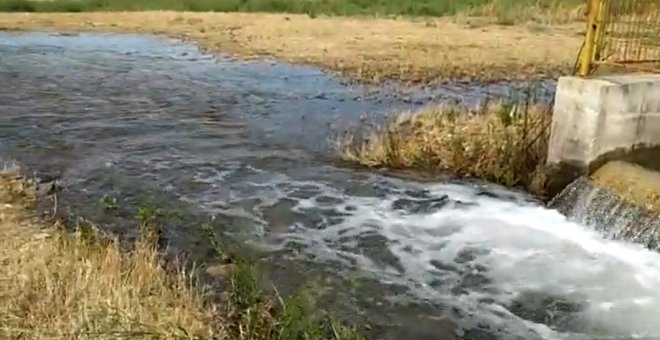 Las Tablas de Daimiel comienzan a recibir el agua del trasvase Tajo-Segura enviada en su auxilio