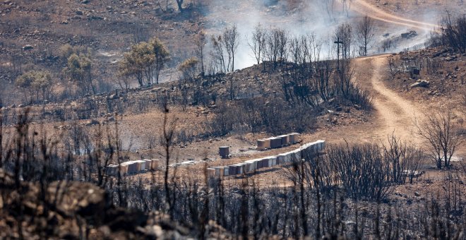 El número de hectáreas calcinadas este año triplica la media de la última década