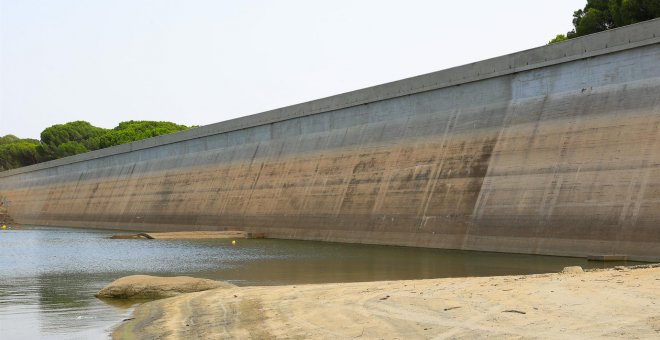 Se investiga la muerte de 5.000 peces en el pantano de Flix (Tarragona)