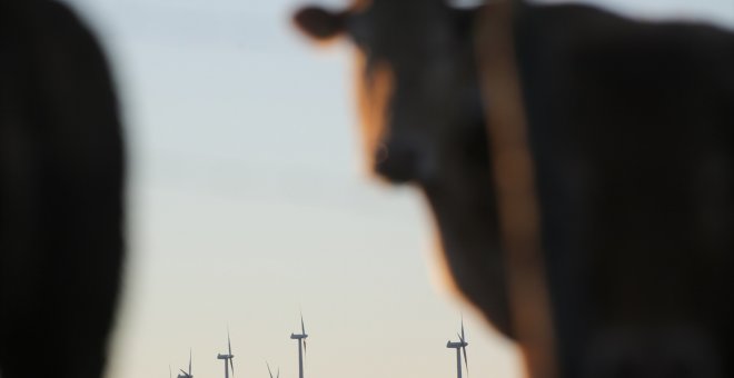 Madrid, la excepción eólica: la única comunidad que no tiene ni un sólo aerogenerador en su territorio