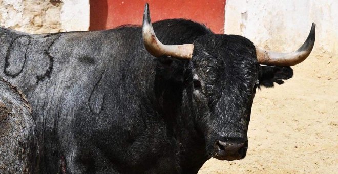 Un joven, ingresado en la UCI al ser corneado en los 'bous al carrer' de Calpe