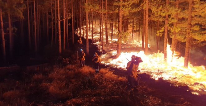 2022, un año marcado por los peores incendios de la última década