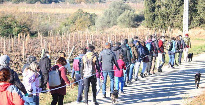 Més empordanesos en contra dels parcs eòlics a l'Albera que no pas a favor