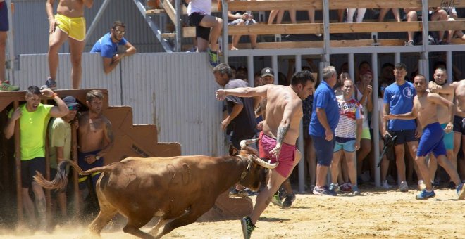 Muere un hombre a los 72 años tras ser cogido por un toro en Almassora