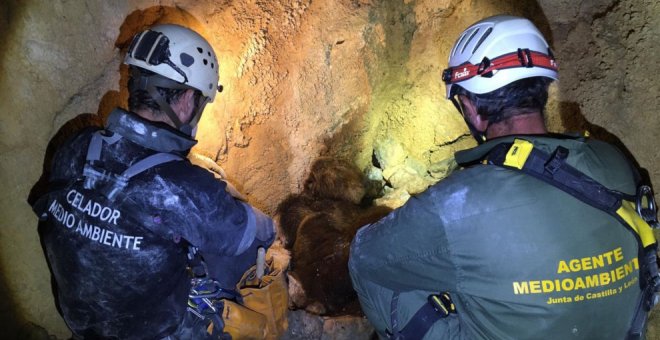 Localizados en una sima los restos de la osa y el osezno despeñados en junio junto a otra cría