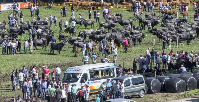 La XIV Concentración Ganadera llegará el 17 de septiembre con más de 700 animales