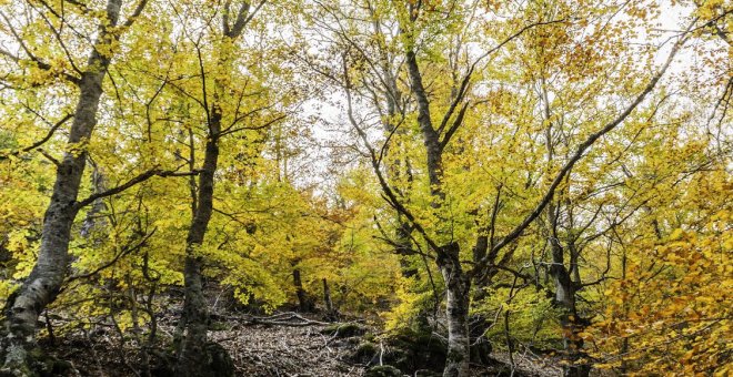 El verano que nos ha expuesto en toda su crudeza el cambio climático