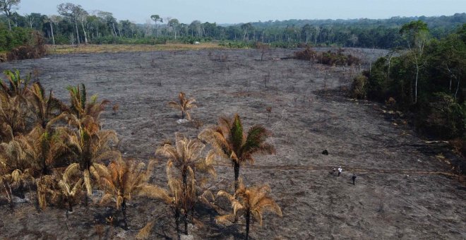 Madre de Dios, una llamada de auxilio desde la Amazonia peruana